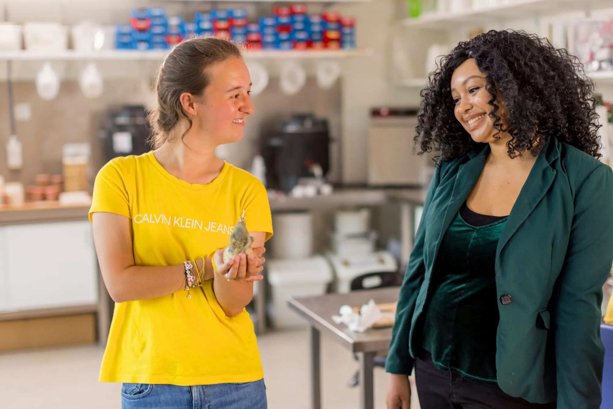 banner-images-image-1